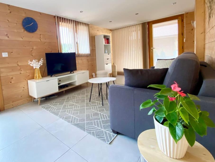 Androsace Appartement Dans Chalet Bois Avec Jacuzzi Privatif Terrasse Et Vue Montagne Les Villards-sur-Thones Ngoại thất bức ảnh